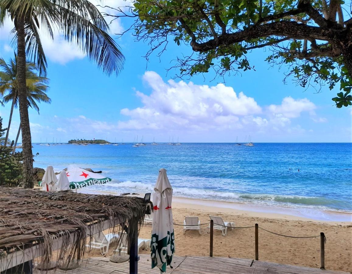 Ilet Bleu Studio Cosy Rdc Vue Mer Et Jardin - Acces Direct Plage Le Gosier  Exterior photo